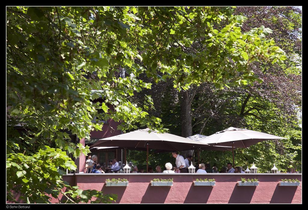 Auberge De La Gaichel Otel Dış mekan fotoğraf